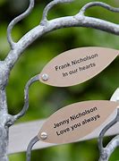 Image result for Tree of Life Memory Box