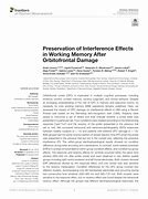 Image result for Interference Effects Memory