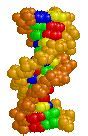 Image result for Struktur Gen