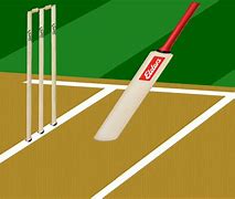Image result for Real Cricket Bat and Ball