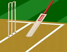 Image result for Cricket Court GIF