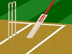 Image result for Cricket Bat Ball