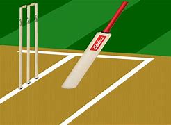 Image result for After 4 Animation Cricket