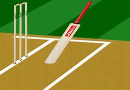 Image result for Cricket Bat Side View