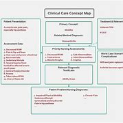 Image result for Nursing Concept Map for Pain
