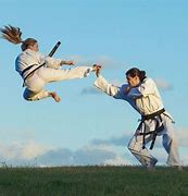 Image result for Flying Kick Martial Arts