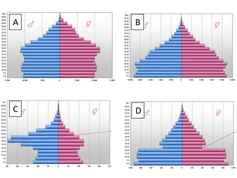 Image result for What Is a Population Pyramid