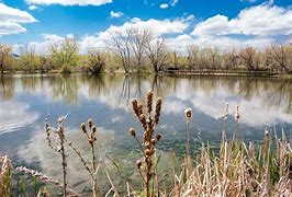 Image result for Lakes in Lakewood Co