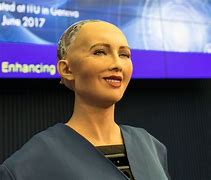 Image result for Personal Robot That Looks Human