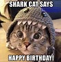 Image result for Happy Birthday Fabulous Meme Cat Unicorn