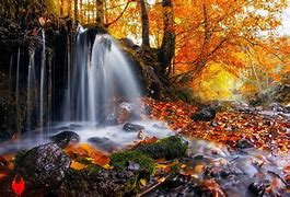 Image result for Moss Fall Waterfall