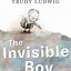 Image result for Invisible Son Book Cover