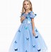 Image result for Fancy Princess Dresses for Girls