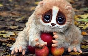 Image result for 10 Cute Animals