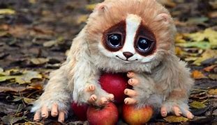 Image result for Cutest Thing On the Planet