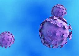 Image result for HPV Genital Warts Man