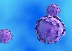Image result for Human Papillomavirus Warts