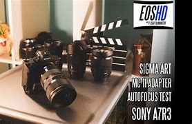 Image result for Sony A7r3 Focus Mode