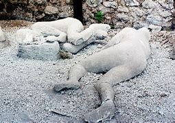 Image result for Pompeii Bodies Book