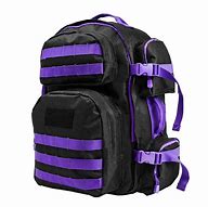 Image result for Purple and Black Backpack