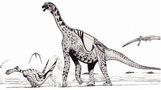 Image result for Altasaurus
