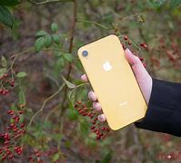 Image result for iPhone XR in Yellow