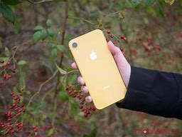 Image result for iPhone 11 iPhone XR Yellow