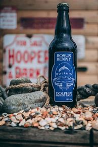 Image result for Dolphin Brewery Poole Coat of Arms