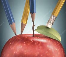 Image result for Red Apple Pencil