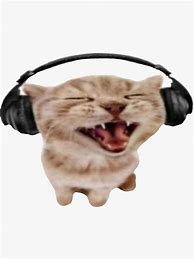 Image result for Cat PN the Phone Headphones Meme