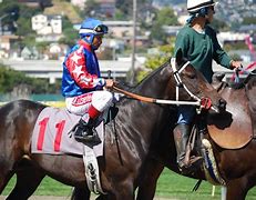 Image result for Race Horse Images