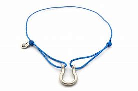 Image result for Rope Clips Chain Schackle