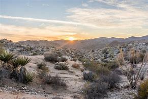 Image result for Mojave Desert CA