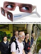 Image result for Eye Contact Funny