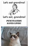 Image result for Extremely Funny Grumpy Cat Memes