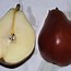 Image result for Pyrus communis Précoce Henin