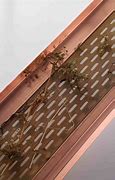 Image result for Copper Gutter Leaf Guards