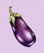 Image result for Eggplant Draw