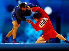 Image result for Sambo Federation Russia