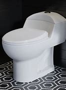 Image result for Double Flush Toilet