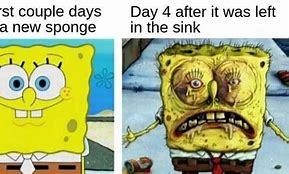 Image result for Dried Spongebob Meme