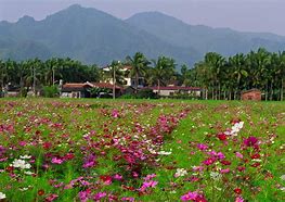 Image result for Taiwán Countryside