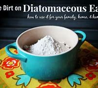 Image result for Diatomaceous Earth Day