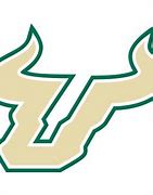 Image result for USF Football NCAA 14