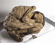 Image result for Real Mummies Found