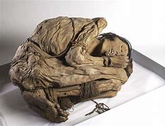 Image result for Mummy Found in Peru