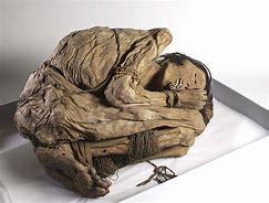 Image result for Mummified Bodies