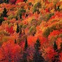Image result for Colorful Mountain Background