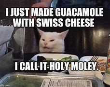 Image result for Holy Moly Cat Meme
