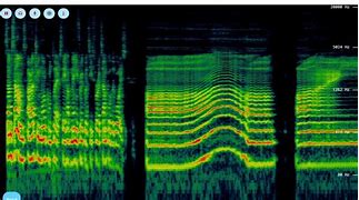 Image result for espectrograms